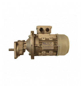 Motoréducteur monophasé 1,10 HP.